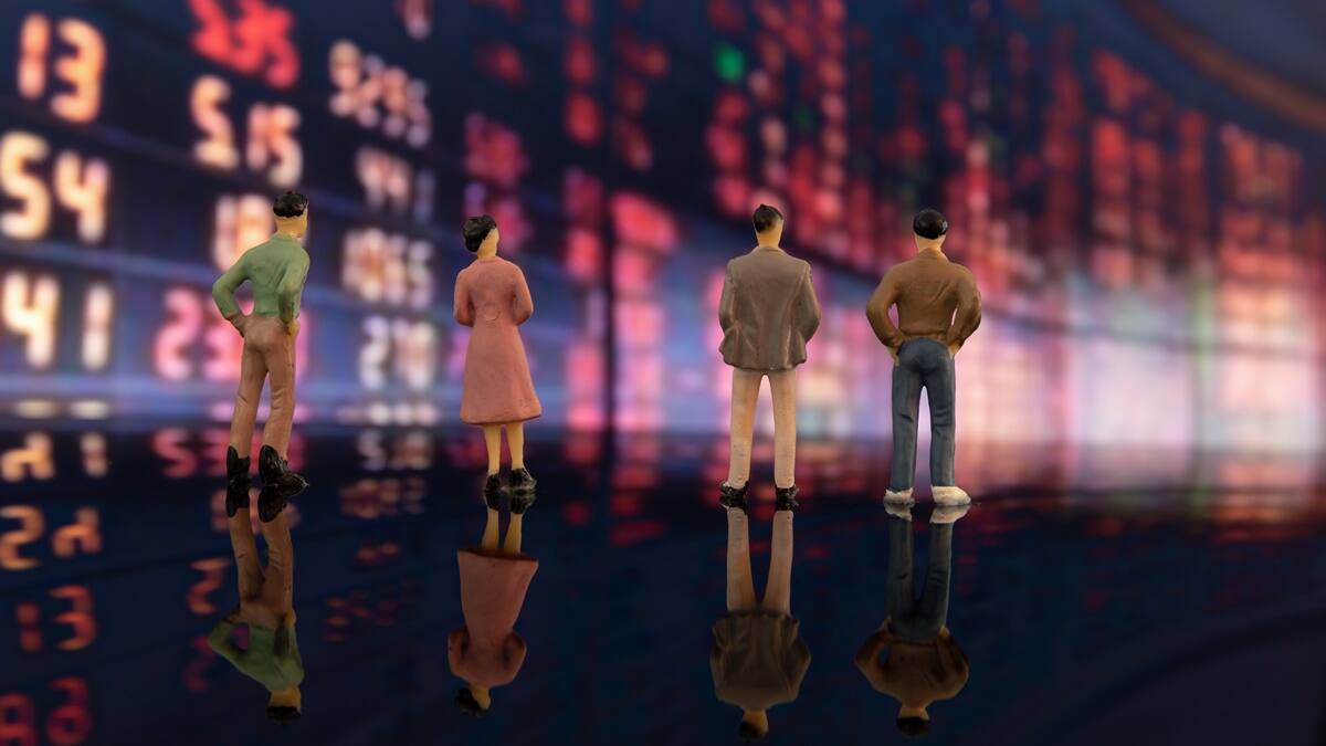 Wealth Creation: How Indian stock market turned fat into muscle over the past year