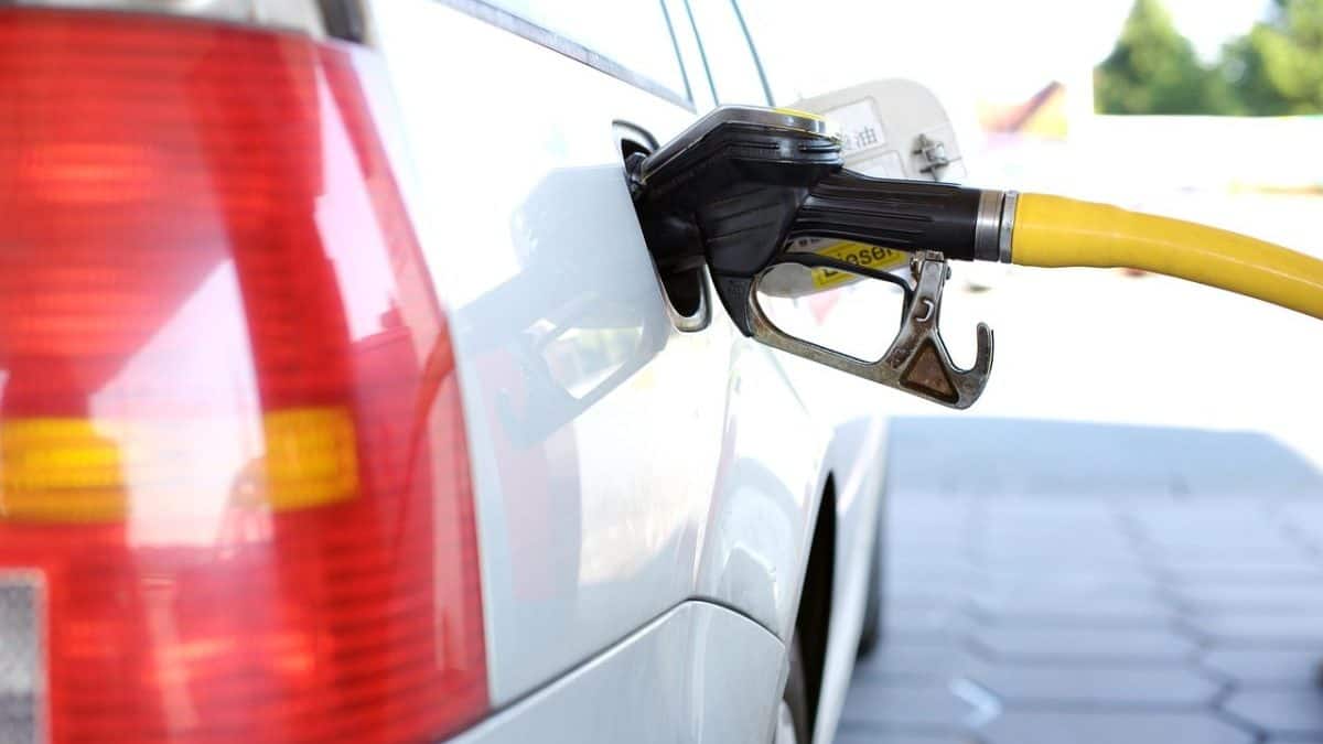 Petrol and Diesel Rate Today, 12 January: Fuel prices unchanged; Check prices in Delhi, Mumbai, other cities