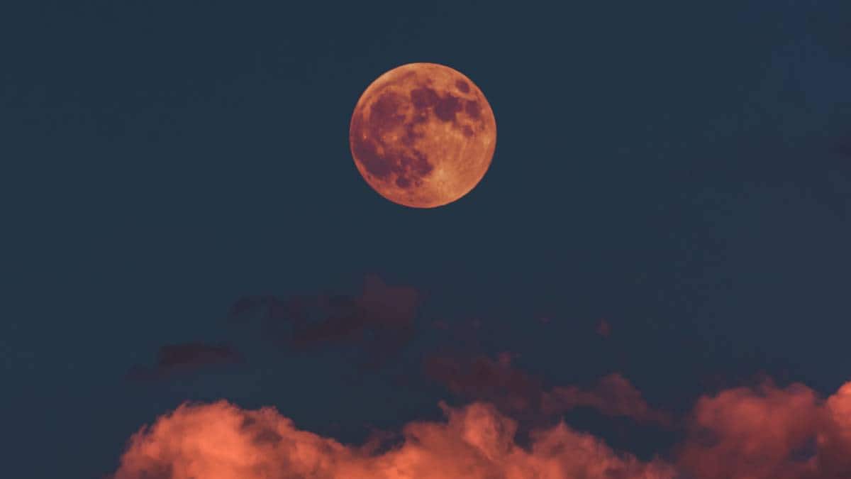 Lunar Eclipse 2023: What are dos, don’ts for pregnant women & myths, legends around this cosmic event